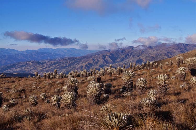 Oceta Boyacá